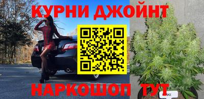 ПСИЛОЦИБИНОВЫЕ ГРИБЫ Нальчик