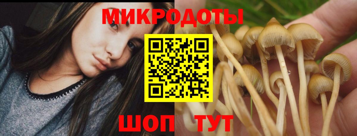 Псилоцибиновые грибы мицелий Верхняя Салда